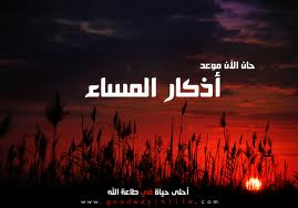 Images 8